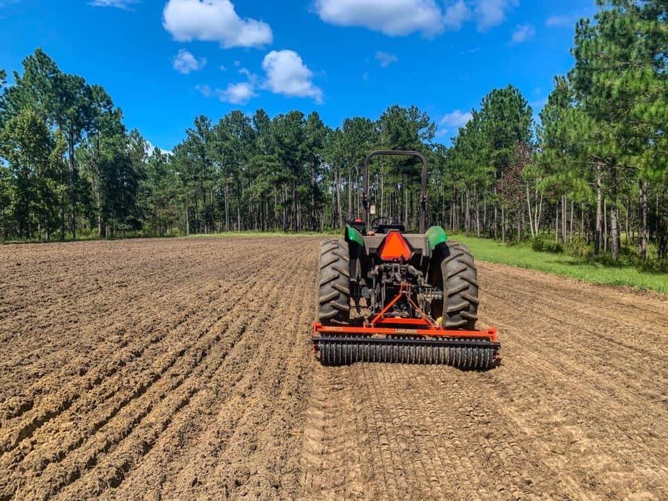 Premium Grass Seed, Wholesale Prices